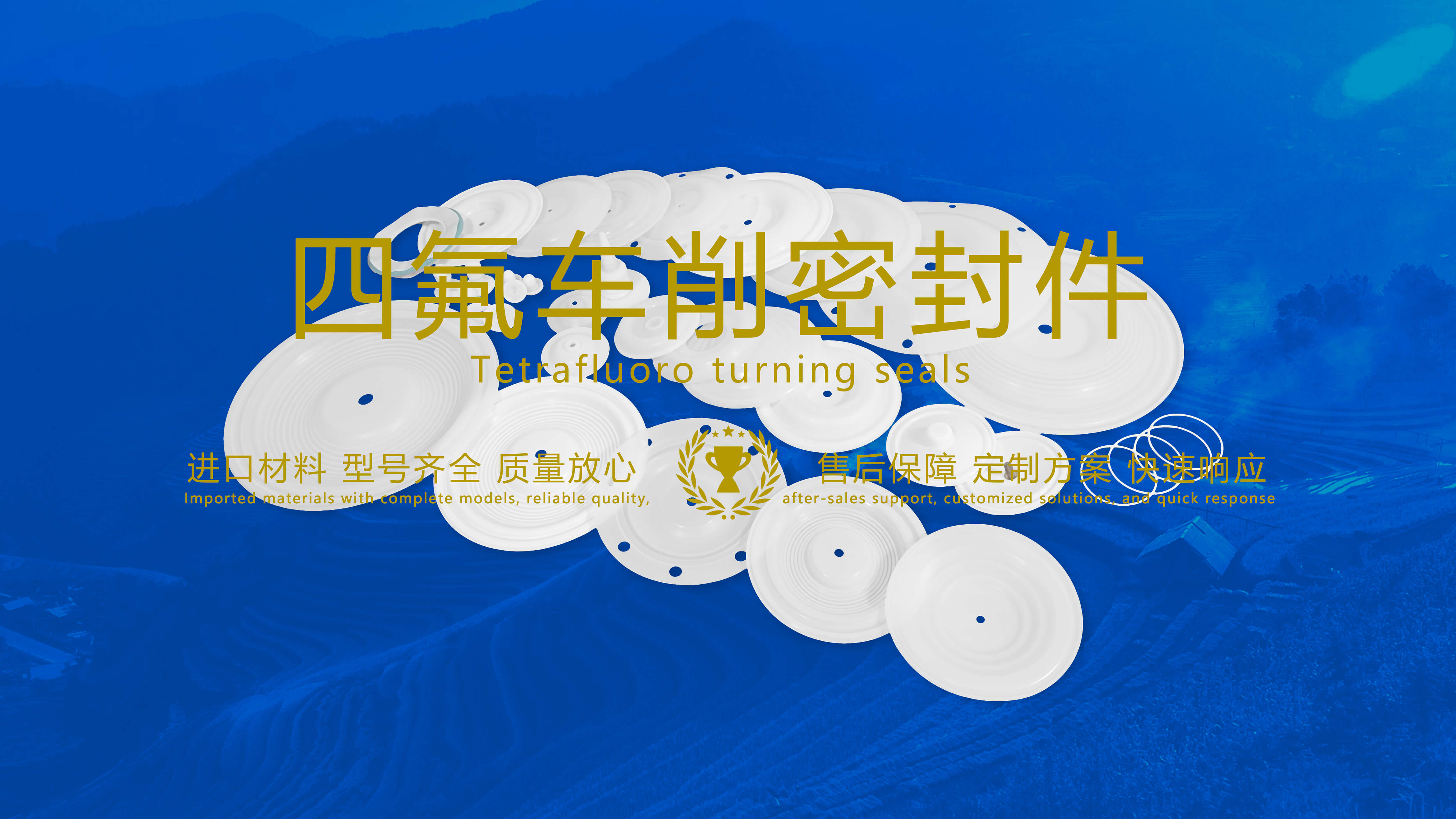 四氟車削密封件密封圈油封膜片配件產(chǎn)品圖 四氟車削密封件密封圈油封膜片配件產(chǎn)品圖