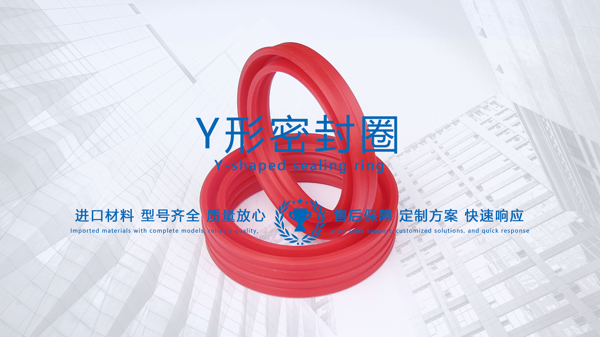 y型密封圈（又Y形密封圈，Y形圈，Y型圖或唇形密封圈，密封件油封膜片） (3)