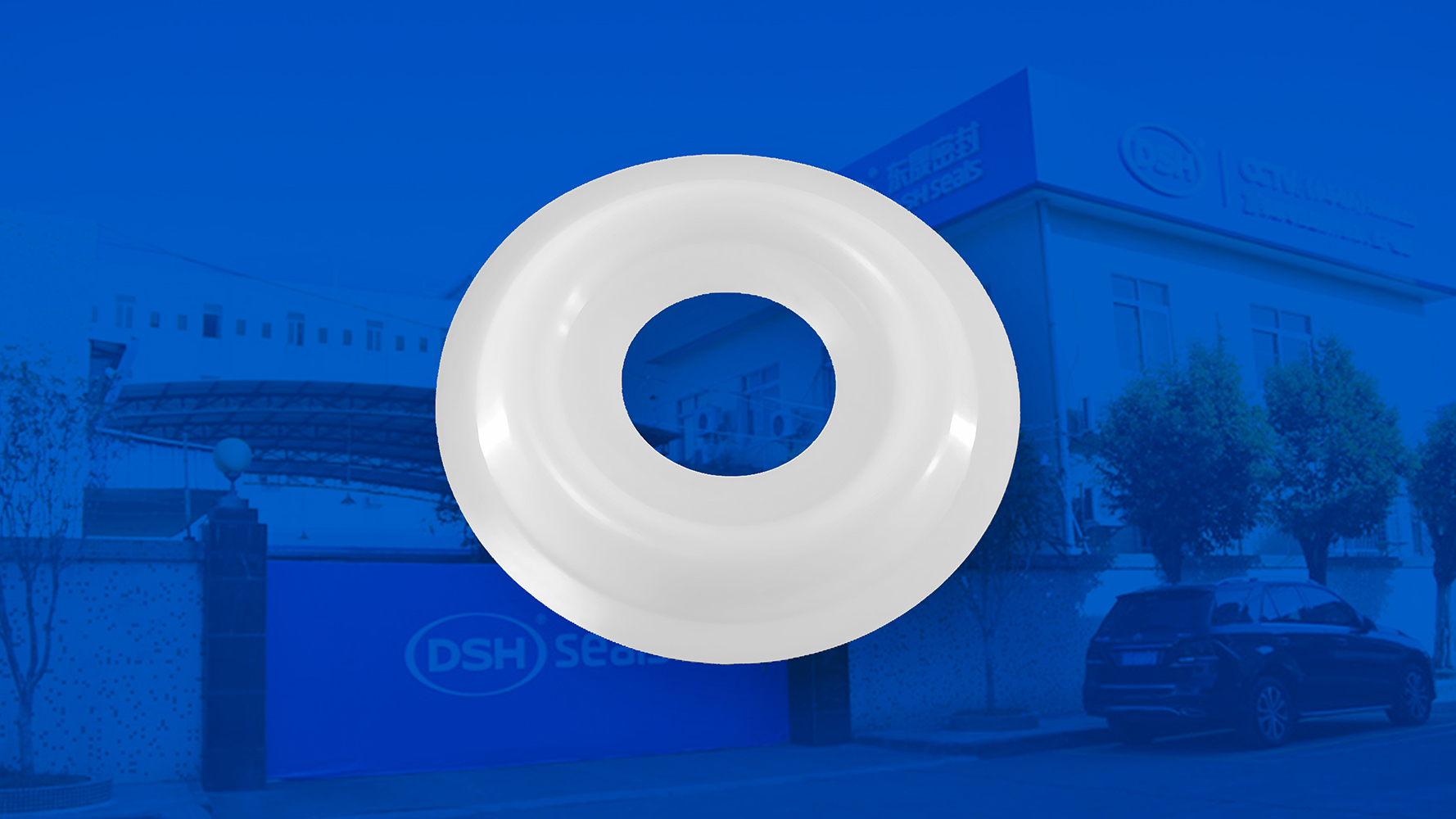 米頓羅計(jì)量泵膜片 （又叫隔膜、密封件、密封圈、油封） (2)