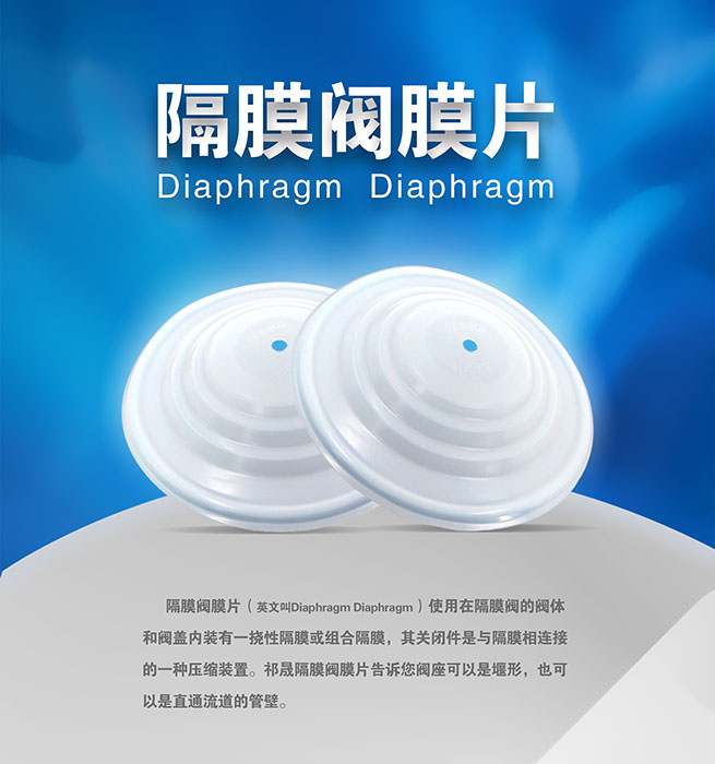 隔膜閥膜片泵閥密封件 隔膜閥膜片泵閥密封件